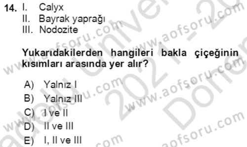 Tarla Bitkileri 1 Dersi 2021 - 2022 Yılı (Final) Dönem Sonu Sınav Soruları 14. Soru