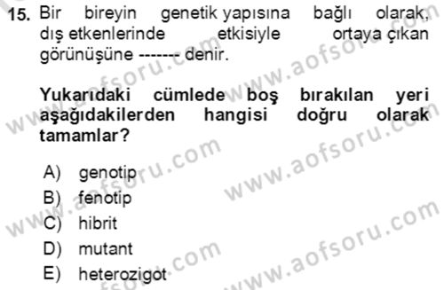 Tarla Bitkileri 1 Dersi 2021 - 2022 Yılı (Final) Dönem Sonu Sınav Soruları 15. Soru