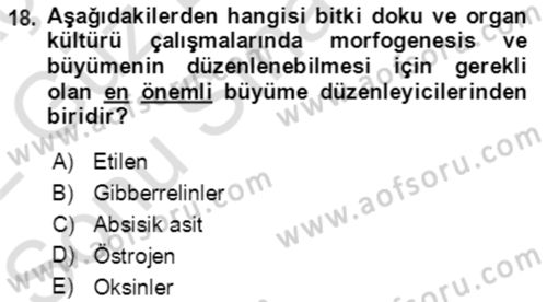 Tarla Bitkileri 1 Dersi 2021 - 2022 Yılı (Final) Dönem Sonu Sınav Soruları 18. Soru