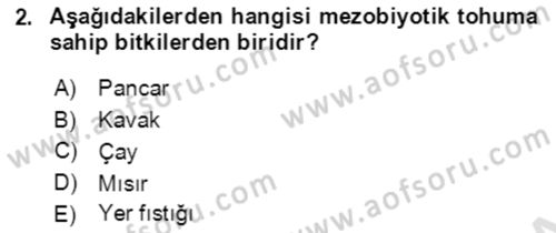 Tarla Bitkileri 1 Dersi 2021 - 2022 Yılı (Final) Dönem Sonu Sınav Soruları 2. Soru
