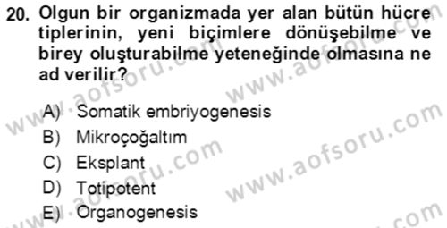 Tarla Bitkileri 1 Dersi 2021 - 2022 Yılı (Final) Dönem Sonu Sınav Soruları 20. Soru