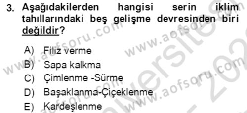 Tarla Bitkileri 1 Dersi 2021 - 2022 Yılı (Final) Dönem Sonu Sınav Soruları 3. Soru
