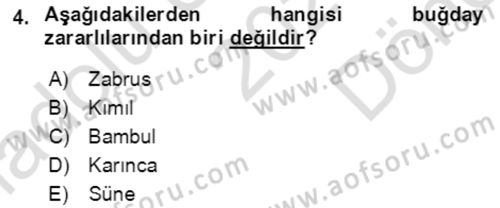 Tarla Bitkileri 1 Dersi 2021 - 2022 Yılı (Final) Dönem Sonu Sınav Soruları 4. Soru