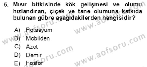 Tarla Bitkileri 1 Dersi 2021 - 2022 Yılı (Final) Dönem Sonu Sınav Soruları 5. Soru