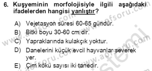 Tarla Bitkileri 1 Dersi 2021 - 2022 Yılı (Final) Dönem Sonu Sınav Soruları 6. Soru