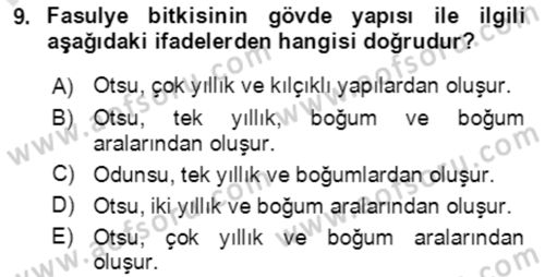 Tarla Bitkileri 1 Dersi 2021 - 2022 Yılı (Final) Dönem Sonu Sınav Soruları 9. Soru