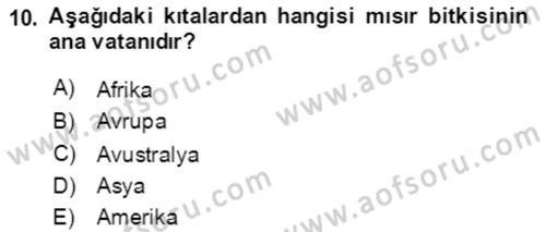 Tarla Bitkileri 1 Dersi 2021 - 2022 Yılı Yaz Okulu Sınav Soruları 10. Soru