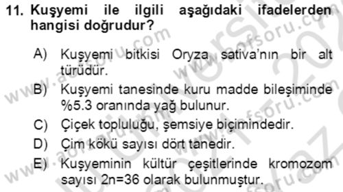 Tarla Bitkileri 1 Dersi 2021 - 2022 Yılı Yaz Okulu Sınav Soruları 11. Soru