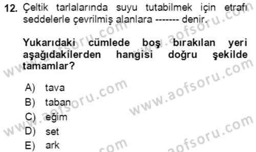 Tarla Bitkileri 1 Dersi 2021 - 2022 Yılı Yaz Okulu Sınavı 12. Soru