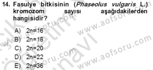 Tarla Bitkileri 1 Dersi 2021 - 2022 Yılı Yaz Okulu Sınav Soruları 14. Soru