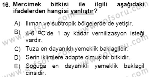 Tarla Bitkileri 1 Dersi 2021 - 2022 Yılı Yaz Okulu Sınav Soruları 16. Soru
