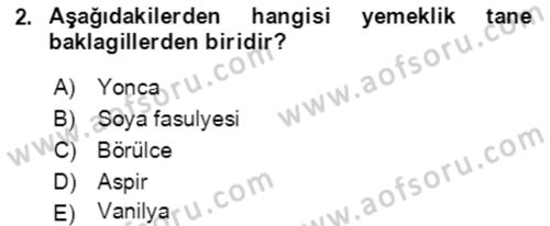 Tarla Bitkileri 1 Dersi 2021 - 2022 Yılı Yaz Okulu Sınav Soruları 2. Soru