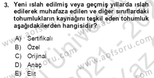 Tarla Bitkileri 1 Dersi 2021 - 2022 Yılı Yaz Okulu Sınav Soruları 3. Soru