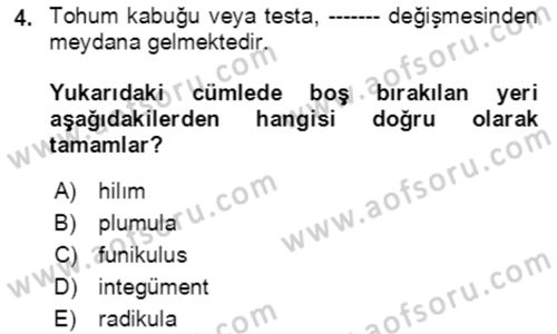 Tarla Bitkileri 1 Dersi 2021 - 2022 Yılı Yaz Okulu Sınavı 4. Soru