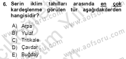 Tarla Bitkileri 1 Dersi 2021 - 2022 Yılı Yaz Okulu Sınav Soruları 6. Soru