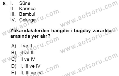 Tarla Bitkileri 1 Dersi 2021 - 2022 Yılı Yaz Okulu Sınav Soruları 8. Soru