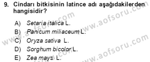 Tarla Bitkileri 1 Dersi 2021 - 2022 Yılı Yaz Okulu Sınav Soruları 9. Soru