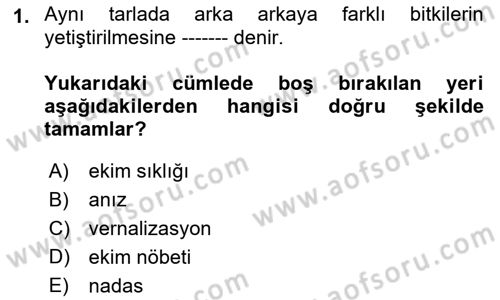 Tarla Bitkileri 1 Dersi 2022 - 2023 Yılı (Vize) Ara Sınavı 1. Soru