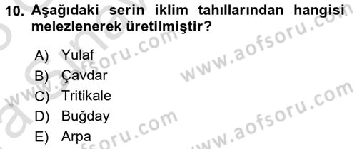 Tarla Bitkileri 1 Dersi 2022 - 2023 Yılı (Vize) Ara Sınavı 10. Soru