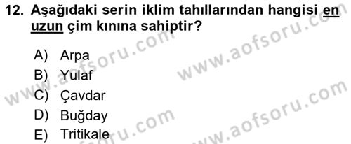 Tarla Bitkileri 1 Dersi 2022 - 2023 Yılı (Vize) Ara Sınavı 12. Soru