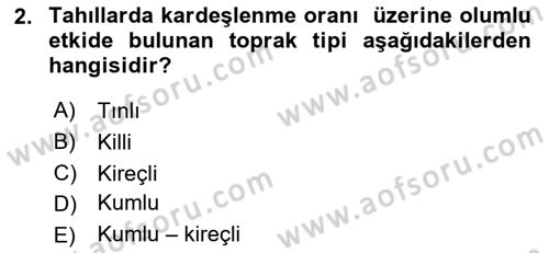 Tarla Bitkileri 1 Dersi 2022 - 2023 Yılı (Vize) Ara Sınavı 2. Soru