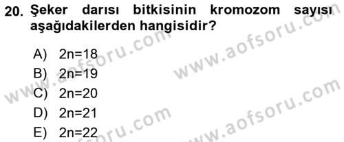 Tarla Bitkileri 1 Dersi 2022 - 2023 Yılı (Vize) Ara Sınav Soruları 20. Soru