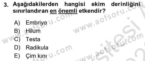 Tarla Bitkileri 1 Dersi 2022 - 2023 Yılı (Vize) Ara Sınavı 3. Soru