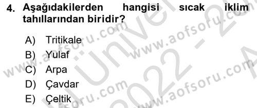 Tarla Bitkileri 1 Dersi 2022 - 2023 Yılı (Vize) Ara Sınavı 4. Soru