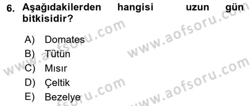 Tarla Bitkileri 1 Dersi 2022 - 2023 Yılı (Vize) Ara Sınavı 6. Soru
