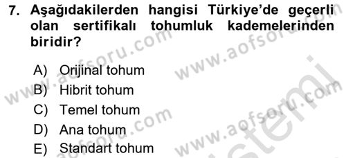 Tarla Bitkileri 1 Dersi 2022 - 2023 Yılı (Vize) Ara Sınavı 7. Soru