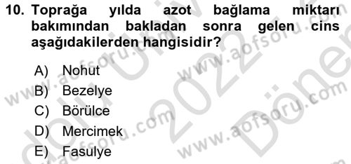 Tarla Bitkileri 1 Dersi 2022 - 2023 Yılı (Final) Dönem Sonu Sınav Soruları 10. Soru