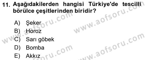 Tarla Bitkileri 1 Dersi 2022 - 2023 Yılı (Final) Dönem Sonu Sınav Soruları 11. Soru