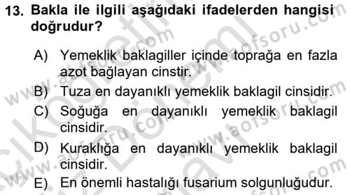 Tarla Bitkileri 1 Dersi 2022 - 2023 Yılı (Final) Dönem Sonu Sınav Soruları 13. Soru