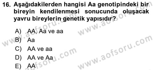 Tarla Bitkileri 1 Dersi 2022 - 2023 Yılı (Final) Dönem Sonu Sınav Soruları 16. Soru