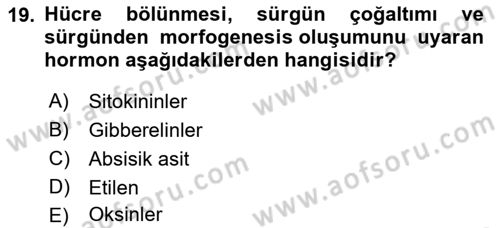 Tarla Bitkileri 1 Dersi 2022 - 2023 Yılı (Final) Dönem Sonu Sınav Soruları 19. Soru