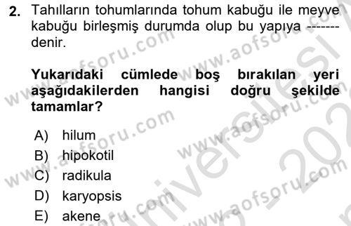 Tarla Bitkileri 1 Dersi 2022 - 2023 Yılı (Final) Dönem Sonu Sınav Soruları 2. Soru