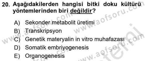 Tarla Bitkileri 1 Dersi 2022 - 2023 Yılı (Final) Dönem Sonu Sınav Soruları 20. Soru