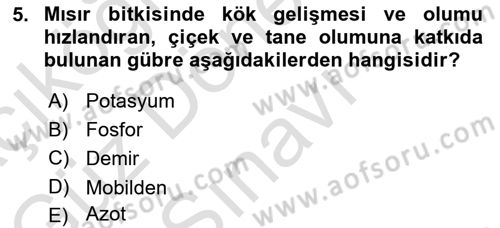 Tarla Bitkileri 1 Dersi 2022 - 2023 Yılı (Final) Dönem Sonu Sınav Soruları 5. Soru