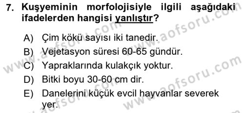 Tarla Bitkileri 1 Dersi 2022 - 2023 Yılı (Final) Dönem Sonu Sınav Soruları 7. Soru