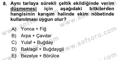 Tarla Bitkileri 1 Dersi 2022 - 2023 Yılı (Final) Dönem Sonu Sınav Soruları 8. Soru