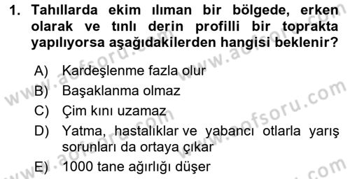 Tarla Bitkileri 1 Dersi 2023 - 2024 Yılı Yaz Okulu Sınav Soruları 1. Soru