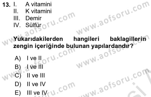 Tarla Bitkileri 1 Dersi 2023 - 2024 Yılı Yaz Okulu Sınav Soruları 13. Soru