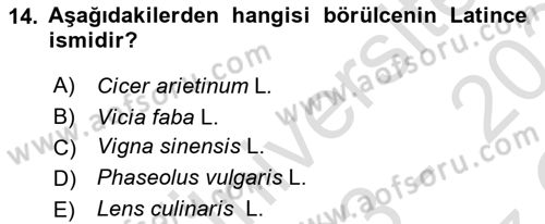 Tarla Bitkileri 1 Dersi 2023 - 2024 Yılı Yaz Okulu Sınav Soruları 14. Soru