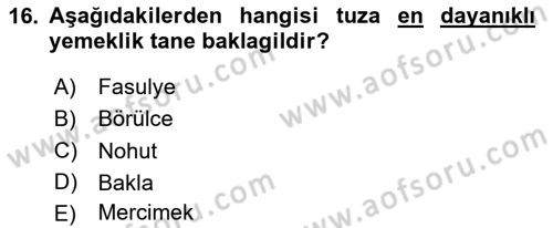 Tarla Bitkileri 1 Dersi 2023 - 2024 Yılı Yaz Okulu Sınav Soruları 16. Soru