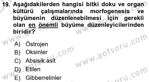 Tarla Bitkileri 1 Dersi 2023 - 2024 Yılı Yaz Okulu Sınav Soruları 19. Soru