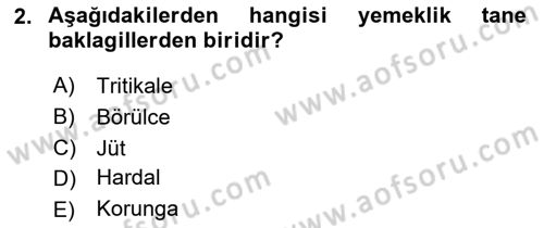 Tarla Bitkileri 1 Dersi 2023 - 2024 Yılı Yaz Okulu Sınav Soruları 2. Soru