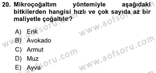 Tarla Bitkileri 1 Dersi 2023 - 2024 Yılı Yaz Okulu Sınav Soruları 20. Soru