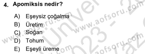 Tarla Bitkileri 1 Dersi 2023 - 2024 Yılı Yaz Okulu Sınav Soruları 4. Soru