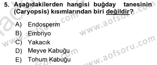 Tarla Bitkileri 1 Dersi 2023 - 2024 Yılı Yaz Okulu Sınav Soruları 5. Soru