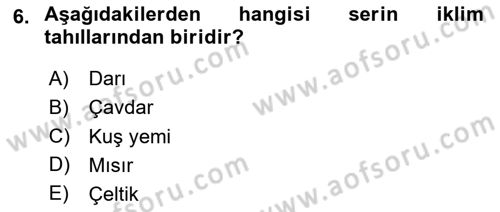 Tarla Bitkileri 1 Dersi 2023 - 2024 Yılı Yaz Okulu Sınav Soruları 6. Soru